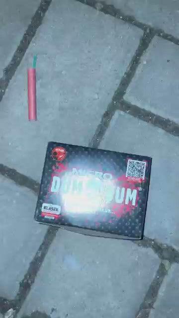 Dum Bum Micro P2D